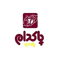 همبرگر 30% 500 گرم پاکدام